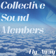 Collective Sound Members Fly Away