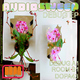 Audiosweep Debug Ep