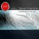 Steve Valentine Wave Forge