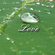 Passalo Love