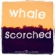 Carlo Whale Scorched