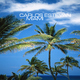 Carlos Estevan Miami