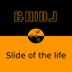 Gnidj Slide of the Life