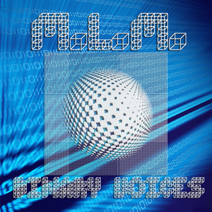 Mathieu Le Manson - Binary Voices (Mojoe Records)