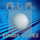 Mathieu Le Manson Binary Voices