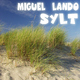 Miguel Lando Sylt