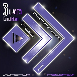 Various Artists - Three Years Synonym Records Compilation (Synonym Rec.)