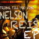 Nelson Reis Tribal Till You Vibe