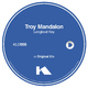 Troy Mandalon Longboat Key