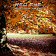 Red Eye Autumn Tree