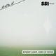 Evgeny Light A Bird Of Divine 