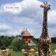 Tom Und Jenny Im Zoo