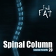 Fred Fat Spinal Column