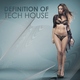 Various Artists Definition of Tech House