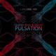  Quardo Rossi & Squad Pulsation
