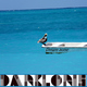Dark Loris Dream Zone