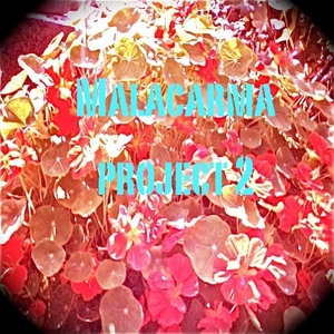 Malacarma Project - Malacarma Project Two (Blue Gypsy Records)