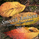Various Artists Smooth Ambient Vol. 3
