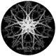 Martin Licht Pressure