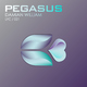 Damian William Pegasus