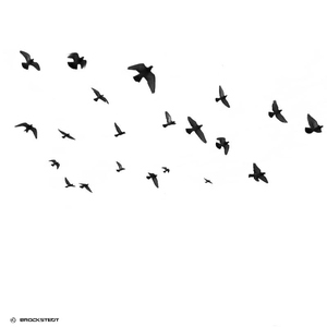 Various Artists - We Love Birds Part 2 (We Love Birds)