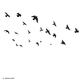 Various Artists - We Love Birds Part 2