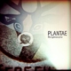 Plantae Klangphilosophie