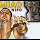 Nipo Miao