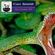 Klaus Benedek The Snake Ep