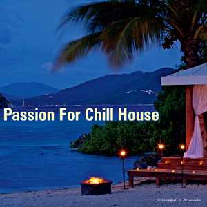 Various Artists - Passion For Chill House (Blissful Moods)