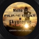 Meho Jr. - Skygroove