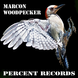 Marcon - Woodpecker (Percent Records)