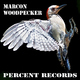 Marcon Woodpecker