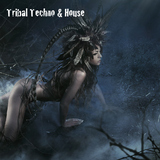 Tribal Techno & House by Various Artists mp3 download