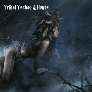 Various Artists - Tribal Techno & House  (Scarecrow Music)