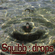 Squibb Drops