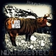Sequence Swiss Nilkuhtigerpferd Ep Sequence Swiss Nilkuhtigerpferd Ep