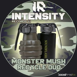 Monster Mush And Recycle Duo - Sound Flash (Intensity) Monster Mush And Recycle Duo - Sound Flash (Intensity)