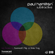 Paul Hamilton Subtractive