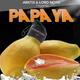Arktis & Lord Nord Papaya