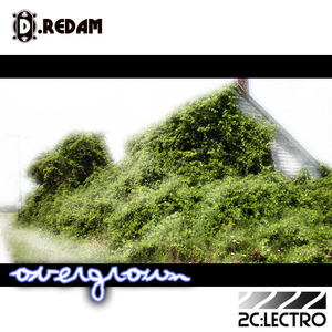 D.Redam - Overgrown (2C:Lectro)