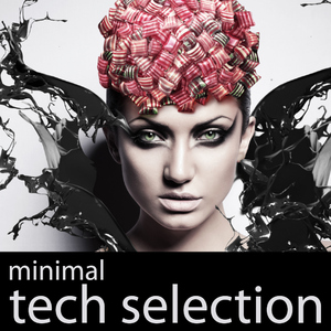 Various Artists - Minimal Tech Selection (Scarecrow Music)