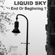 Liquid Sky - End Or Beginning ? Liquid Sky - End Or Beginning ?
