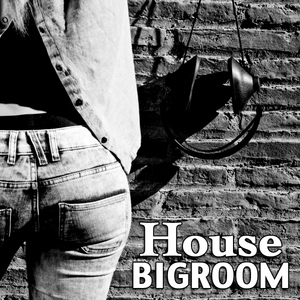 Various Artists - House Bigroom (House Place Records)