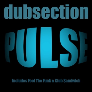 The Dubsection - Pulse (Consection) The Dubsection - Pulse (Consection)