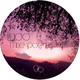Ludo Time Poems