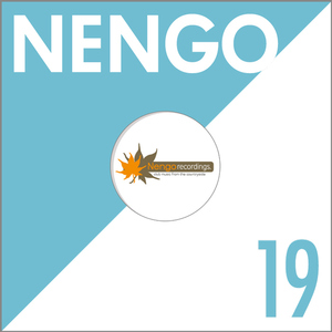 The Bunglers - Unexpected Moves (Nengo Recordings)