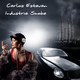 Carlos Estevan Industrie Smoke