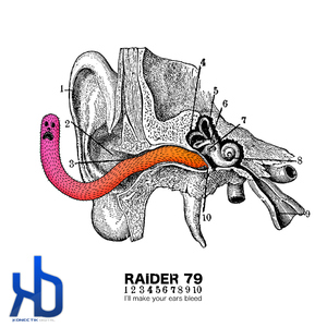 Raider 79 - I'Ll Make Your Ears Bleed - Part 2 (Konectik Digital)
