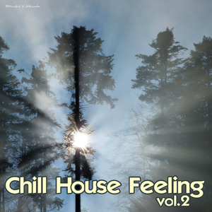 Various Artists - Chill House Feeling Vol.2 (Blissful Moods)